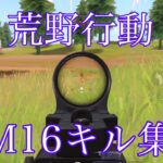 荒野行動M16A4キル集