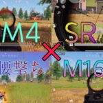 M4 × M16 × 腰撃ち × SR 【荒野行動】