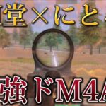 〝M堂×にとろ〟M4A1が止まらねぇ‼️キル集【荒野行動】