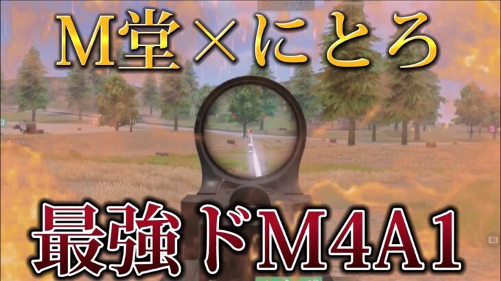 〝M堂×にとろ〟M4A1が止まらねぇ‼️キル集【荒野行動】