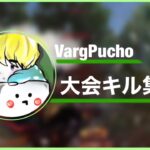 VargPucho 大会キル集【荒野行動】